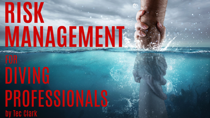 Product image for Risk Management for Diving Professionals