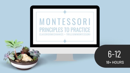 Product image for Classroom Management (P2P: Elementary)