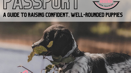 Product image for The Pup Passport