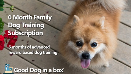 Product image for 6 Month Family Dog Training Subscription Advanced
