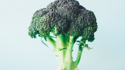 Product image for Advanced Nutrigenomic Training: Methylation