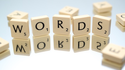 Product image for Vocabulary