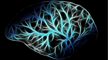 Product image for Preview: The Role of Applied Neuroscience in Addiction Recovery