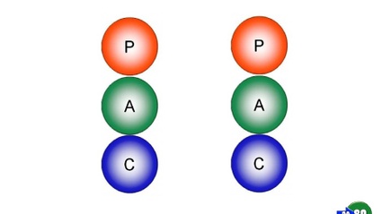 Product image for Introduction to Transactional Analysis (T.A.)