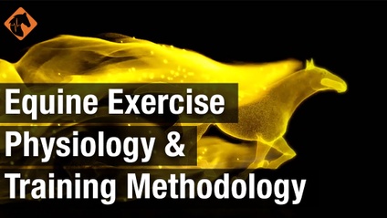 Product image for Equine Exercise Physiology & Training Methodology