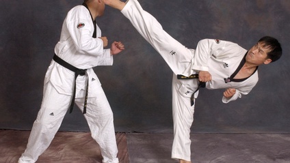 Product image for September/October Beginner Curriculum - Sparring Combinations