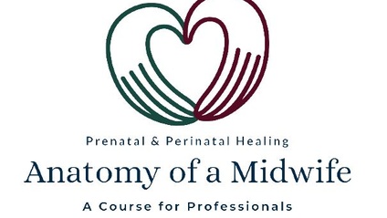 Product image for Anatomy of a Midwife with Lois Trezise, CNM