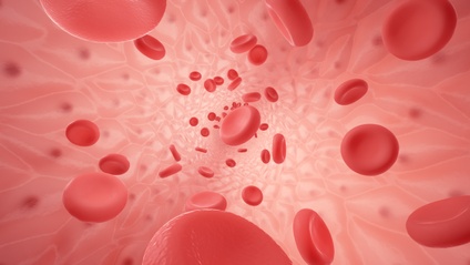 Product image for Bloodborne Pathogens