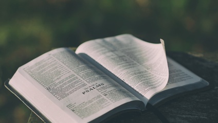 Product image for How Did the Apostle Paul Fund His Ministry?