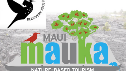 Product image for Maui Mauka Conservation Awareness Training ~ Maui Forest Bird Recovery Project