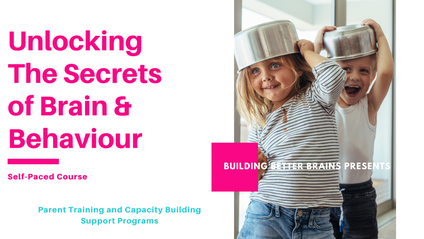 Product image for Brainwise Parenting Program - Unlocking the Secrets of Brain and Behaviour