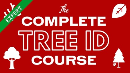 Product image for The Complete Tree ID Course - EXPERT