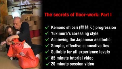 Product image for The secrets of floor-work: Part I