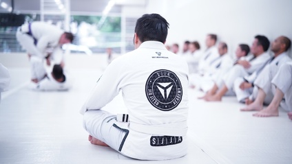 Product image for Introductory Course