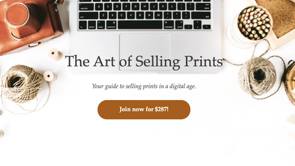 Product image for The Art of Selling Prints