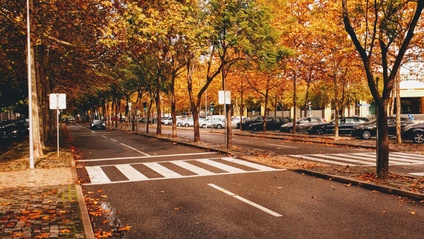 Product image for Establishing a Street Design Team