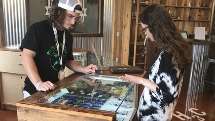 Product image for Alaska Medical Marijuana Dispensary Training