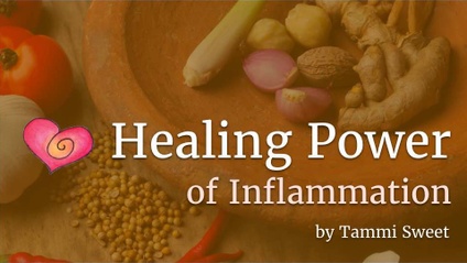 Product image for The Healing Power of Inflammation
