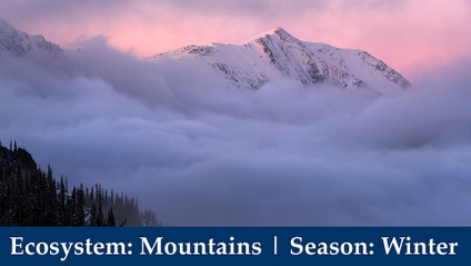 Product image for 📷⛺ Ep. 3: Wilderness Photography Expeditions | Mountains of the Pacific Northwest