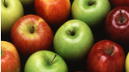 Product image for Detox Food Research: Unit 1