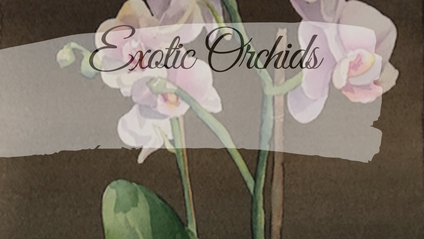 Product image for 4. Exotic Orchids Masterclass Series