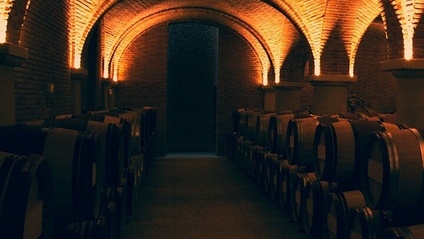 Product image for Wine Experiences in Paris and Loire Valley
