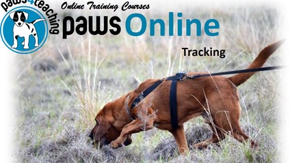 Product image for Tracking