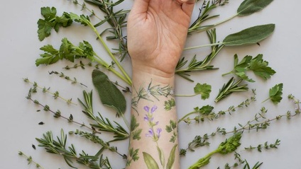 Product image for Wai Ke Applications for Pain: Acupuncture and Herbal