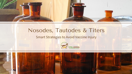 Product image for Nosodes, Tautodes, and Titers