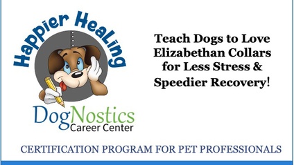 Product image for Happier Healing Certification Program for Pet Professionals