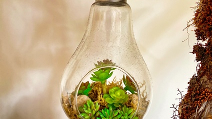 Product image for EGADE Capsules: Medio Ambiente y Finanzas
