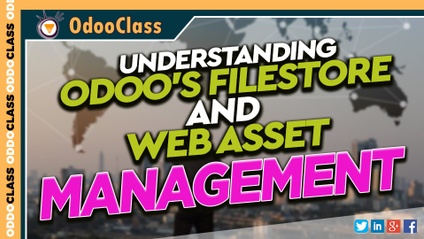 Product image for Understanding Odoo's FileStore and Web Asset Management