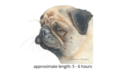 Product image for Pug Dog in Watercolor