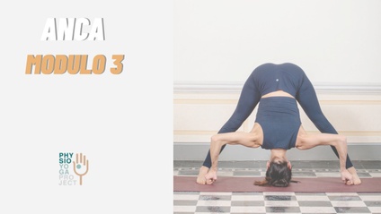 Product image for ANCA - Modulo 3