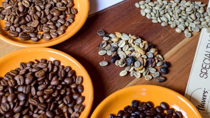 Product image for Slurp Fast! Coffee Course