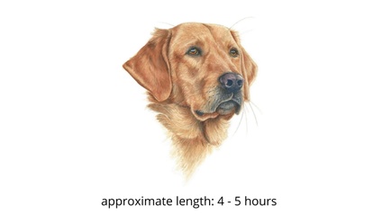 Product image for Retriever Dog in Watercolor