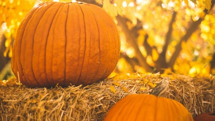 Product image for Fall Music Lessons for Holidays & Special Days