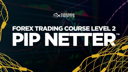Product image for Forex Trading Course Level 2: Pip Netter™