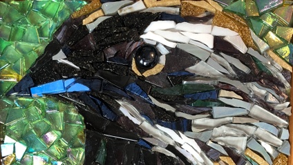 Product image for Backyard Birds with David Jarvinen