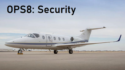 Product image for OPS8: Security