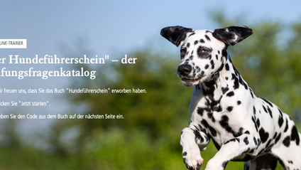 Product image for Hundeführerschein – Frage-Antwort-Katalog