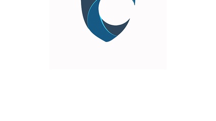 Product image for The Collective Agency Council