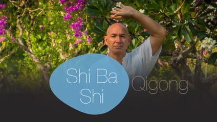 Product image for Introduction Course for the Shi Ba Shi Taiji Qigong  System