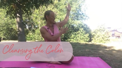 Product image for Cleansing the Colon