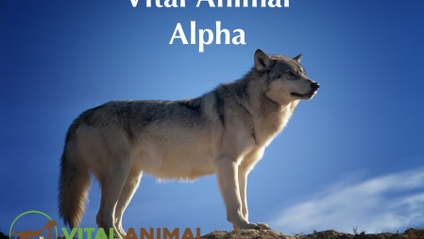 Product image for Vital Animal Alpha
