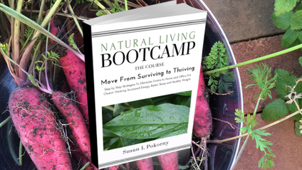 Product image for Natural Living Bootcamp