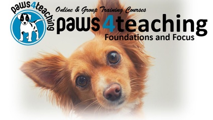 Product image for Foundation and Focus