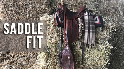Product image for What you need to know about saddle fit and gear [FREE COURSE]
