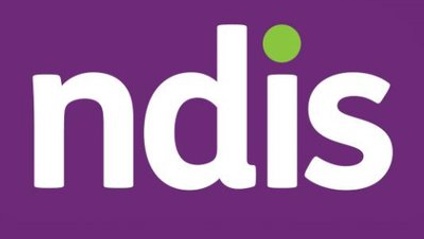 Product image for Recreational Therapy and the NDIS (.5 CPD hour)