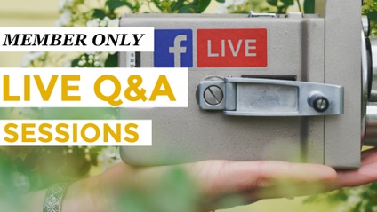 Product image for Q&A Sessions